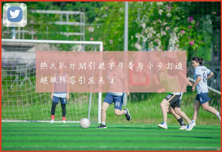 热火队计划引进字母哥与小卡打造超级阵容引发关注